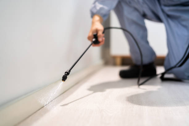 Licensed Termite Control service in Holstein, IA - Nex Pest Control