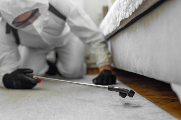 Professional Termite Control technician working in Holstein, IA