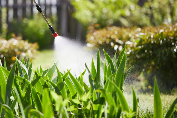 24/7 Emergency Termite Control experts in Holstein, IA